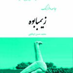 جامعه و فرهنگ زیمبابوه